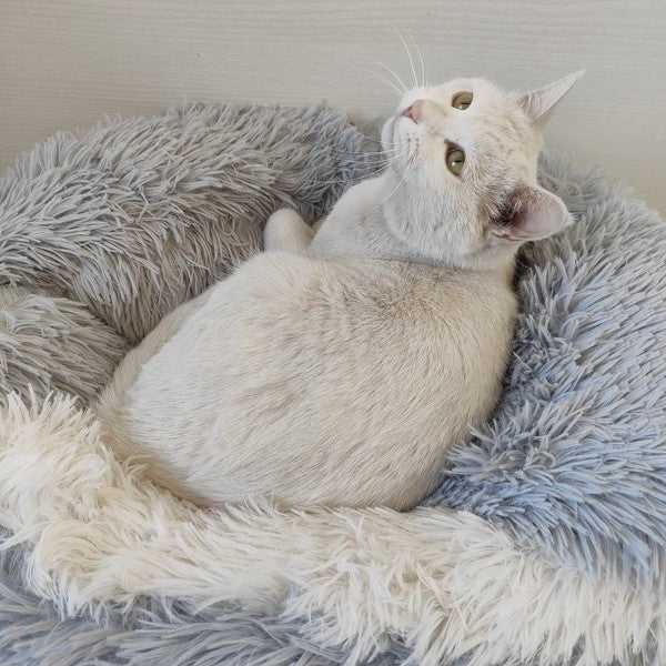 Cat Review