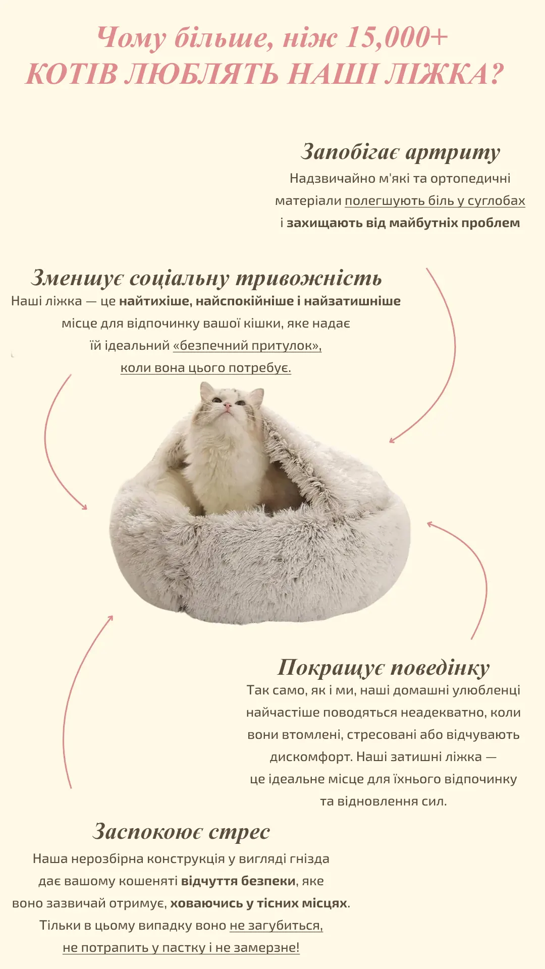Why cats love our beds